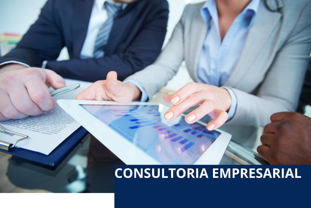 consultoria empresarial web