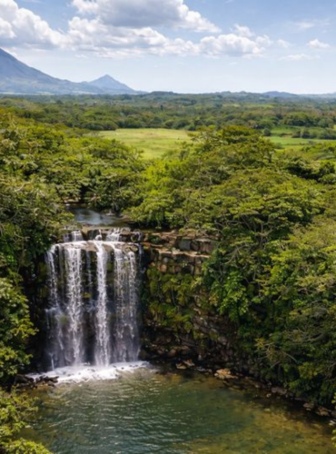 diseño sin título (23)